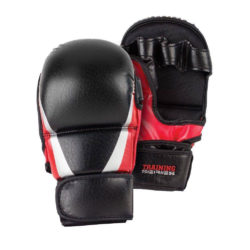 MMA Gloves