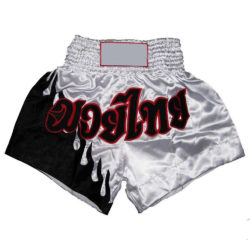 Muay Thai Shorts